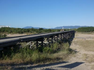 京都 八幡 上津屋流れ橋(Kozuya Floating Bridge, Yawata, Kyoto, JP)