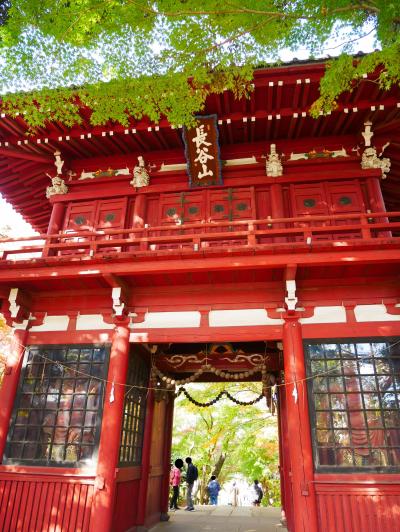 松戸 紅葉 に関する旅行記 ブログ フォートラベル 千葉県
