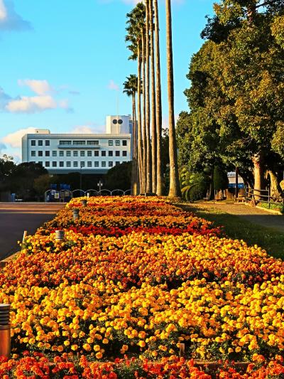 徳島17　新町川親水公園～徳島駅あたり　変貌する繁華街　☆徳島みやげ・とくしま市民遺産