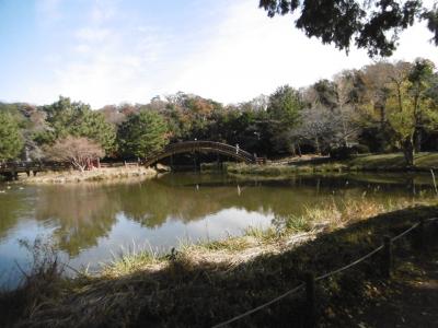 金沢文庫　称名寺に行ってきました