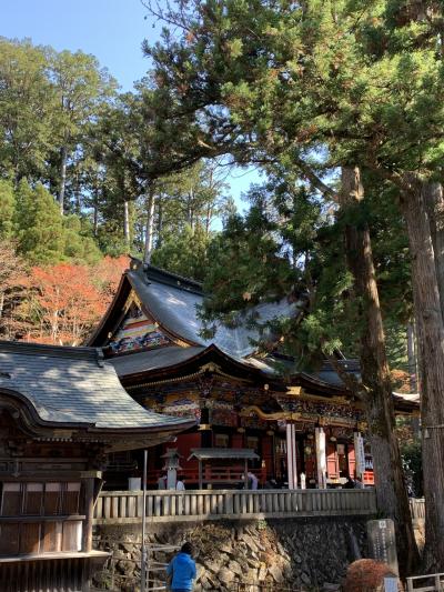 秩父紅葉の旅　三峰神社～浦山ダム～武蔵屋～秩父神社