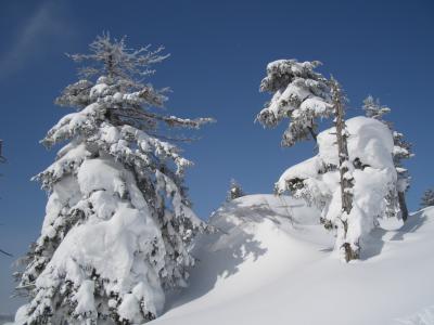 2008年 万座温泉スキー旅行と碓氷峠への寄り道