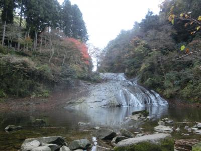 2020冬 千葉５：養老渓谷の滝めぐりハイキングコース粟又の滝、紅葉は期待外れ