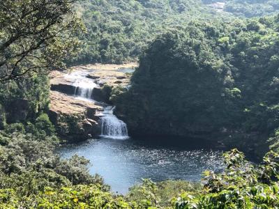 島旅エネルの２０１９　１０月　西表島探索２