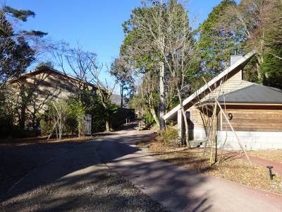 箱根　仙石原　「箱根リトリート　ヴィラ　ワンバイエフ」　に泊まってきました。