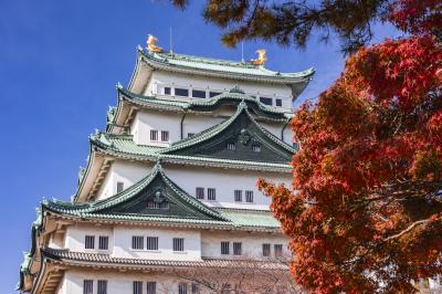 三男転勤先の名古屋へ家庭訪問の旅