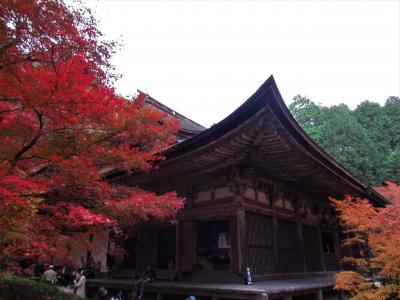 ２０１９年１１月　滋賀県・湖東三山　その７　金剛輪寺の血染めのもみじを見ました