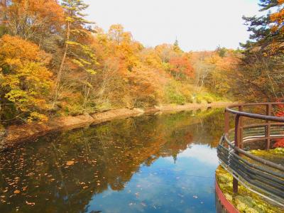 作並温泉と青下水源地の旅