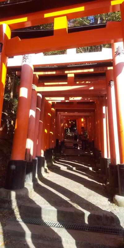 伏見 紅葉 に関する旅行記 ブログ フォートラベル 京都 伏見 紅葉 に関する旅行記 ブログ フォートラベル 京都