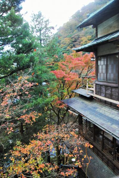 県内旅行で箱根強羅から箱根塔ノ沢へ。③塔ノ沢の憧れの宿である老舗旅館の環翠楼へ。その３