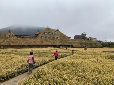 近江八幡 安土に関する旅行記 ブログ フォートラベル 滋賀県 近江八幡 安土に関する旅行記 ブログ フォートラベル 滋賀県