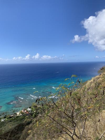 頑張ってハワイ３　デュークスの朝食とダイヤモンドヘッド登山