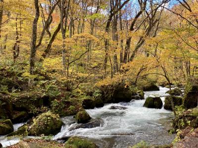 北東北紀行ー目標「紅葉の奥入瀬渓谷の散策」7日目 大湯温泉ー奥入瀬渓谷散策ー休屋