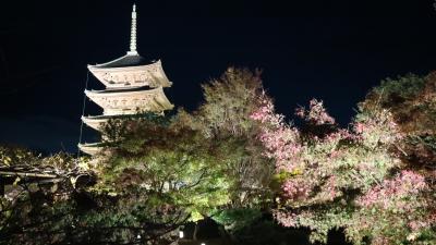 2020の紅葉は京都の東寺へ行きました