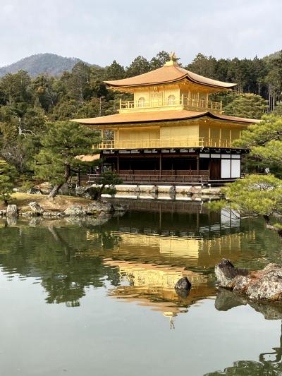 静かな京都は今だけ【屋根工事完了直後の金閣寺・龍安寺】　