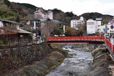 紅葉の修善寺を散歩しました。