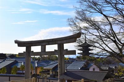 朝観光（33-1） 京都（東山）