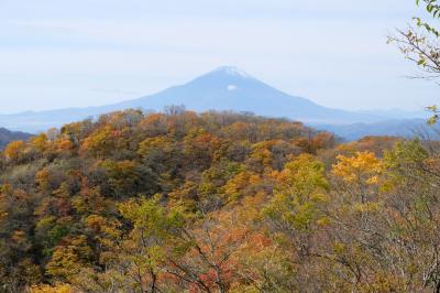 鍋割山　紅葉と富士山の見事なコラボ