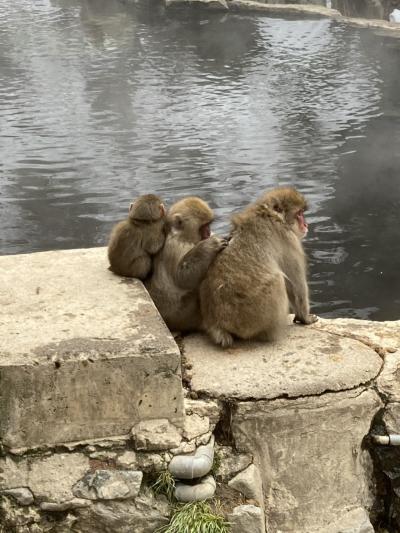 スノーモンキーと渋温泉に癒される旅