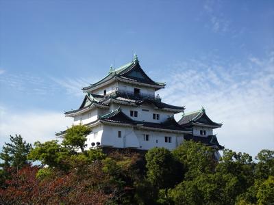 和歌山(和歌山城)