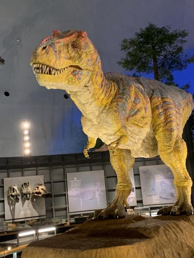 初GOTOトラベル 福井県でカニ