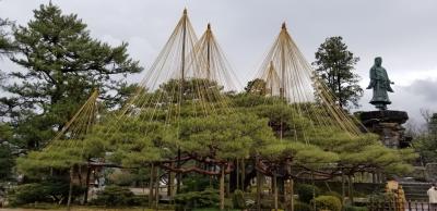 【トクだ値 第９弾 & 普段は泊まれない宿シリーズ 第3弾】初めての金沢 １泊２日の旅(兼六園・ひがし茶屋街・近江町市場) 