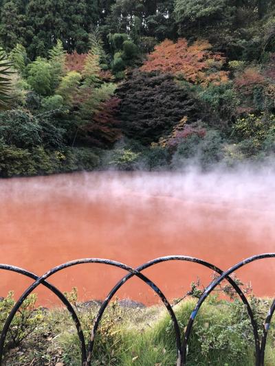 初めての別府、湯布院、黒川温泉旅行でした