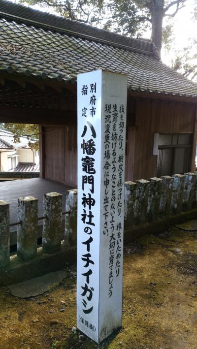 初大分で「竈門神社」と「岡城」と初宮崎（前編）