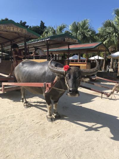 GOTOで行く島巡り4日間 後編