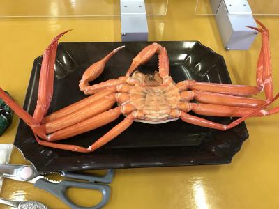 飛騨牛、アワビと富山湾鮨、ブリしゃぶ、白川郷、飛騨高山　こだわりグルメツアー（富山編）