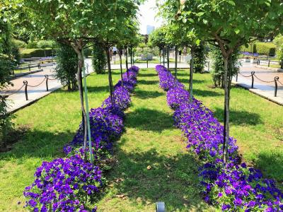 コロナ前最後のGW ふらっと横浜ベイエリア