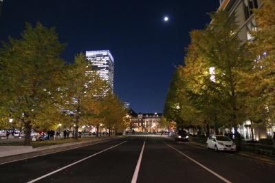 初冬の東京旅♪　Vol.12　☆丸の内仲通り：美しいクリスマスイルミネーション♪