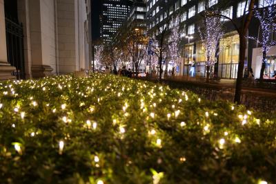 初冬の東京旅♪　Vol.14　☆丸の内仲通り：美しいクリスマスイルミネーション♪