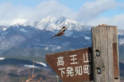 群馬県 絶景スポット に関する旅行記 ブログ フォートラベル 群馬県 絶景スポット に関する旅行記 ブログ フォートラベル