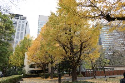 初冬の東京旅♪　Vol.24　☆「日比谷公園」：黄金色のイチョウ♪
