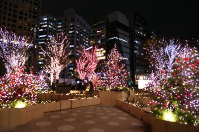 初冬の東京旅♪　Vol.30　☆「東京ミッドタウン日比谷」：美しいクリスマスイルミネーション♪