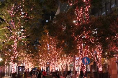 初冬の東京旅♪　Vol.31　☆「東京ミッドタウン日比谷」：美しいクリスマスイルミネーション♪