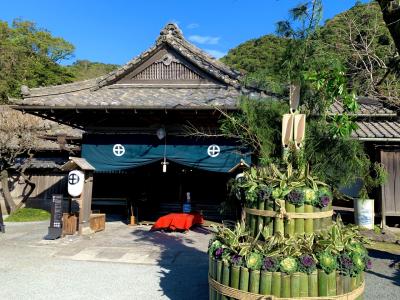 砂風呂~桜島~霧島神宮　一泊二日鹿児島旅行