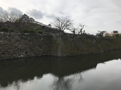和歌山城と廃線跡と関西最強の花山温泉へ：青春18きっぷの旅（2021年始）、大阪発日帰り