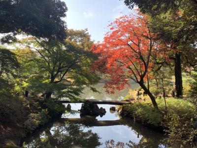 六義園小石川後楽園の紅葉2020年11月編　カフェポートブルックリン~よ志のや~ニャーベトナム~旧古河庭園~恵比寿