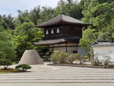 恐らく今後二度とない体験！；外国人観光客のいない京都