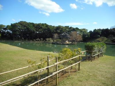 沖縄那覇　暖かい年越し　公園　水族館　DFS（４）