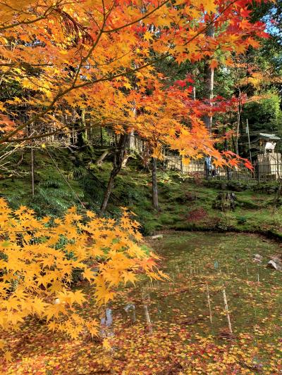 湖国の紅葉を巡る旅1　彦根と西明寺