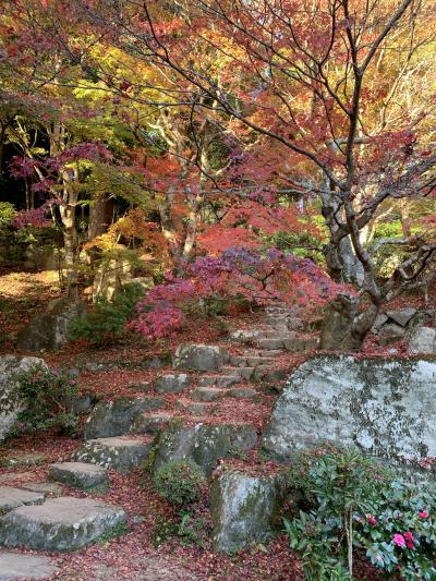 湖国の紅葉を巡る旅2　百済寺と教林坊ライトアップ…残念な夕食