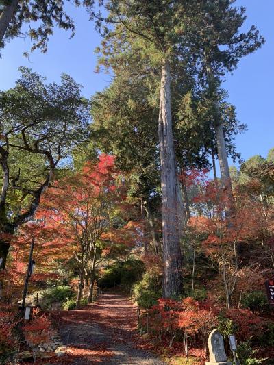 湖国の紅葉を巡る旅3　琵琶湖マリオットホテルと湖南三山常楽寺