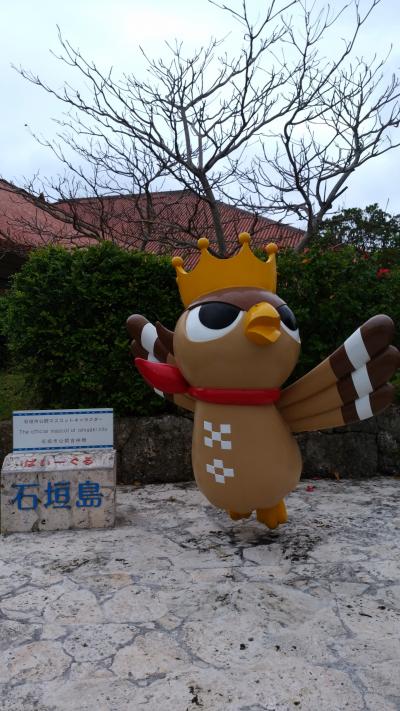 2019年 乗ってみたかったバニラエアで石垣