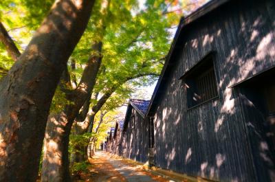 庄内の旅　紅葉の山居倉庫　湯野浜温泉游水亭いさごやで秋の馳走三昧