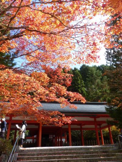 天空の地奥高野の紅葉を訪ねて