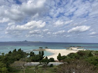 1歳４ヶ月と美ら海水族館とモトブリゾート