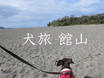 犬旅　～館山・2020秋～